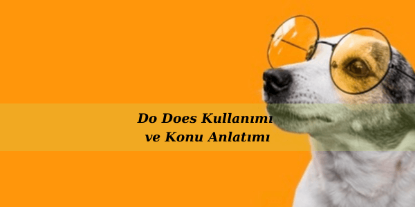 Wordly ile "Do ve Does" Kullanımını Öğrenin.

#wordly #ingilizceöğren #ingilizceöğreniyorum #ingilizcegramer #ingilizcefiiller #dodoes bit.ly/3mDYwdc
