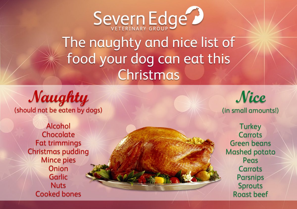 Severn Edge Vets tweet media