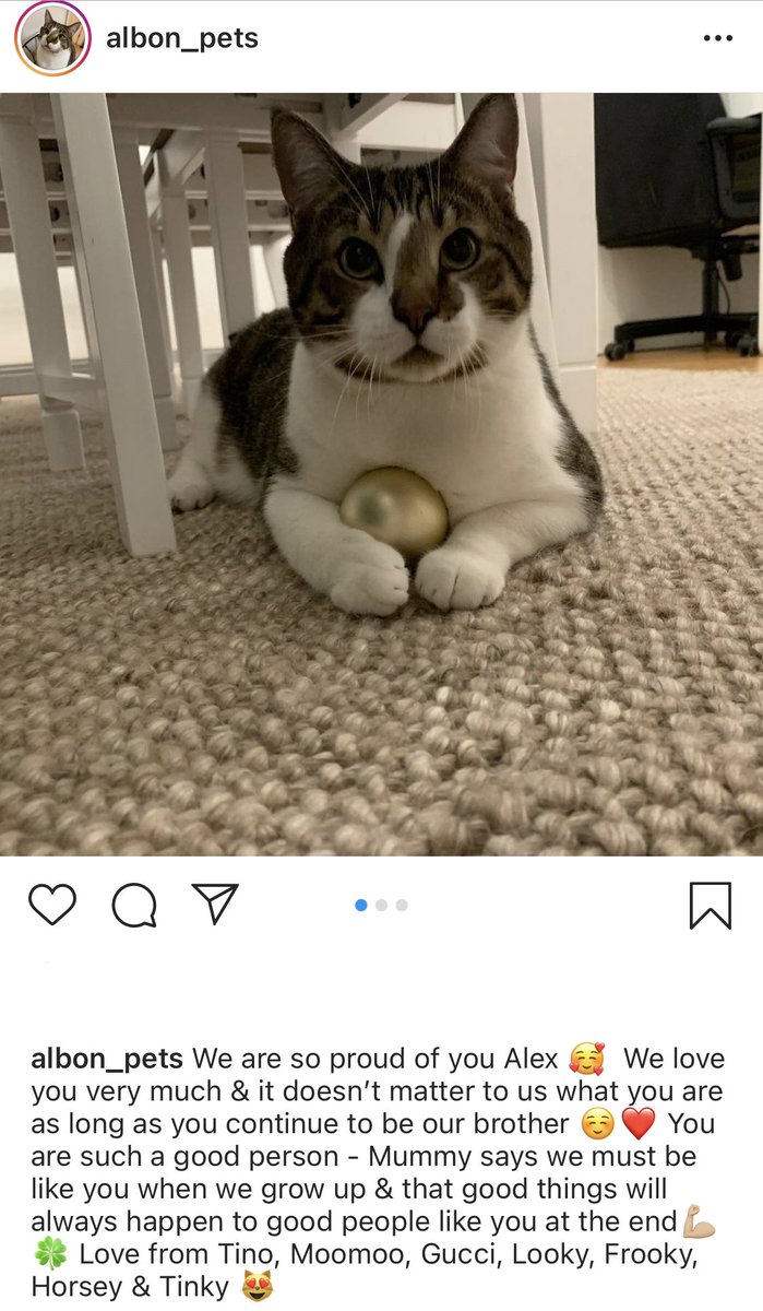 Girl Talks Racing On Twitter And Once Again Alex Albon S Pets Come Through As The Most Supportive Animal Family In Motorsport F1 Https T Co Znrk4fe15m Twitter