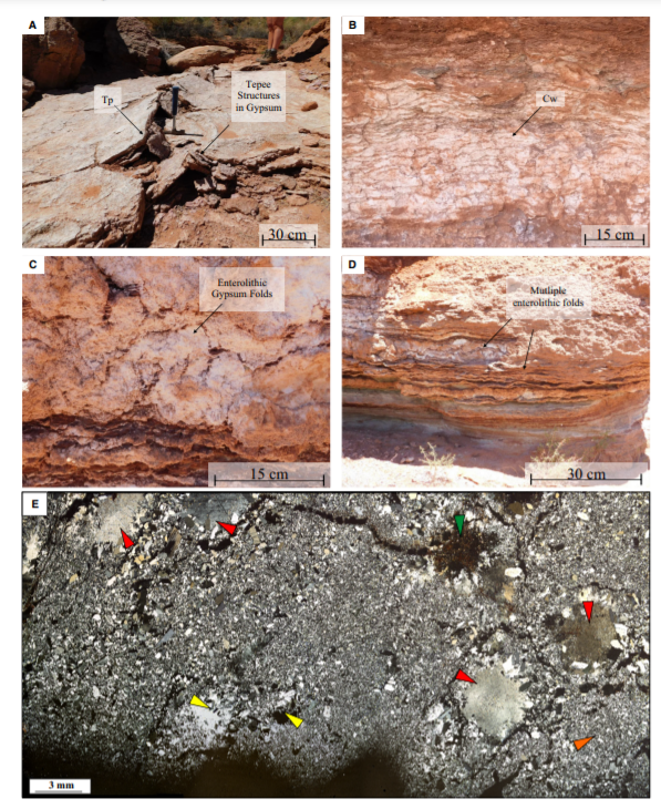 rosspettigrew's tweet photo. Our latest sedimentology paper is now available. The paper looks at the sedimentology and climatic controls in arid aeolian-evaporitic environments and the isotope geochemistry of the systems.  

Any trouble accessing the paper please get in touch!
https://t.co/NvoCucoQa9 https://t.co/x5afxdc4o4