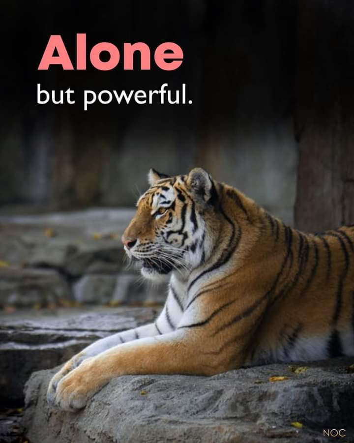 Mike Sonko (@mikesonko) on Twitter photo 