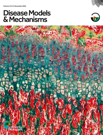 Our tweeps have spoken! The winner of #DMMCover2020 depicts pentachrome staining of a tibial growth plate, 

Learn the story behind this striking cover image in the paper from the Pohl group:
dmm.biologists.org/content/13/11/…