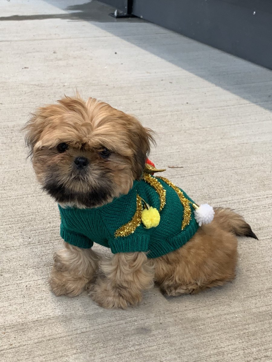 Life seems so empty without a challenge to announce or winners to share.  Even Hank looks sad. 😊. I hope you have a fantastic break—relax and enjoy!  #c2cinwb