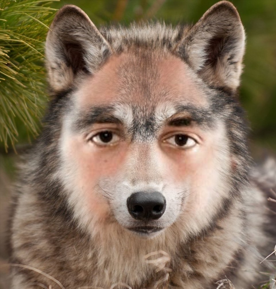 Profesor tweet media