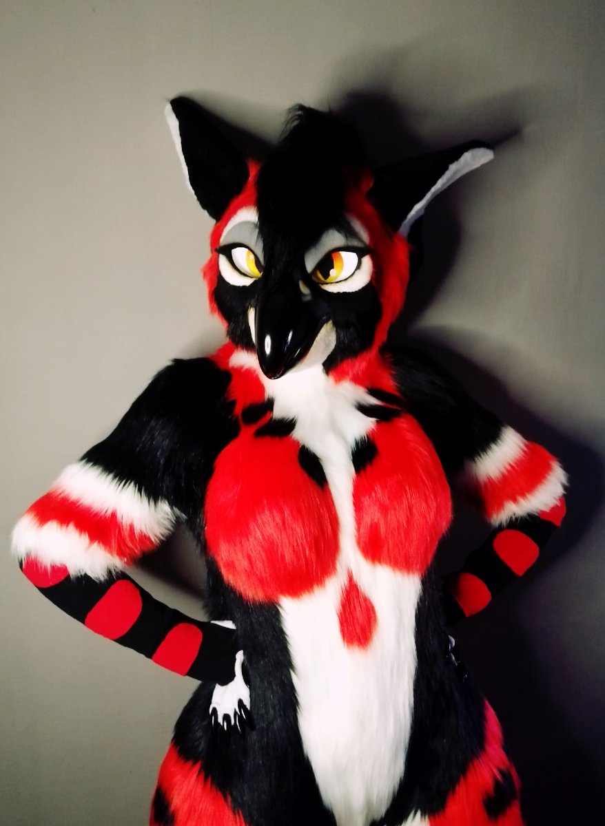 FurryStudio's tweet photo. The girl of your dream?
______
#fursuit #furry #furrybird #fursuiter #fursuitmaker #fursuitmaking #fullsuit #fursuitmakers https://t.co/xyf9ztAla3
