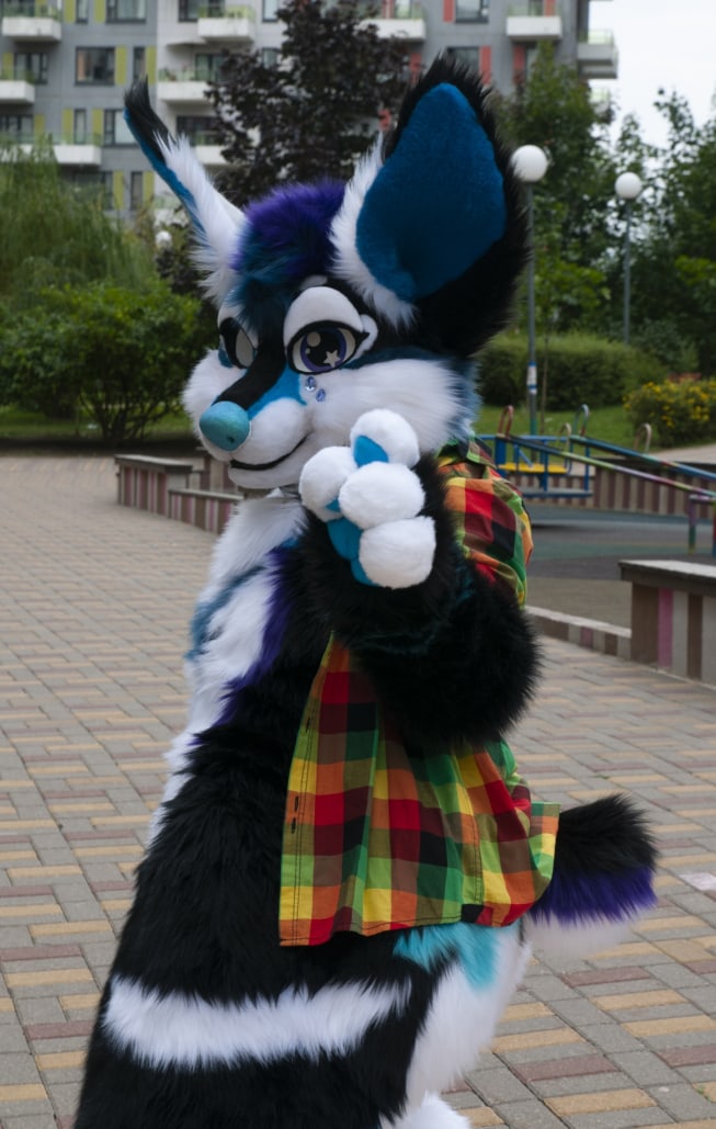 FurryStudio's tweet photo. Meet LaKi!
_______
#furryfandom #furrypride #furries #furry #fursuit #fursuiter #fursuitmaker #fursuitmaking #fullsuit #furryhusky https://t.co/FR9UdfkMFk