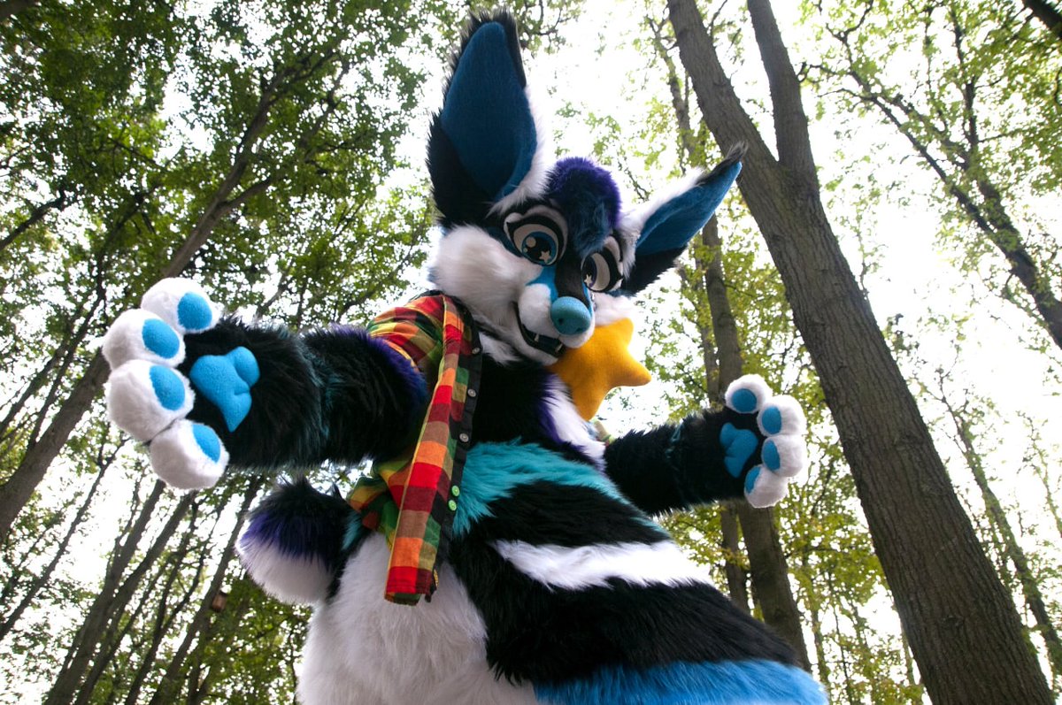 FurryStudio's tweet photo. Meet LaKi!
_______
#furryfandom #furrypride #furries #furry #fursuit #fursuiter #fursuitmaker #fursuitmaking #fullsuit #furryhusky https://t.co/FR9UdfkMFk