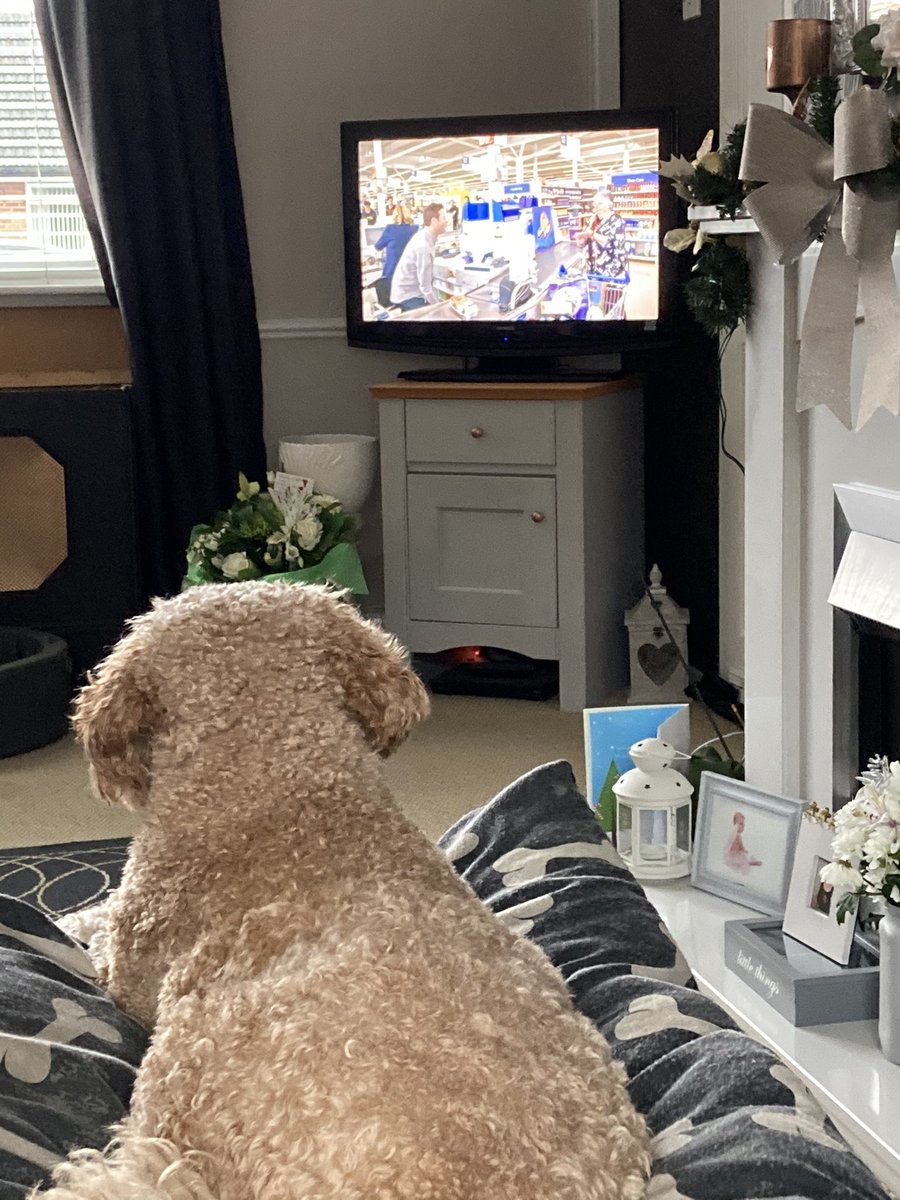 Tracy Babiczuk tweet media