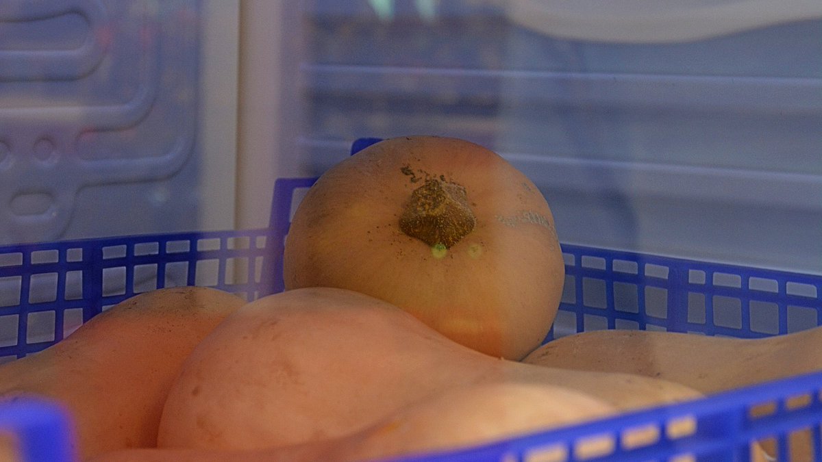 ✨ Nouveaux produits à sauver ! 
Viens découvrir le nouvel arrivage de <a href="/Partagetonfrigo/">Partage Ton Frigo</a> au J !
👉 Butternuts, pommes, ananas... une belle occasion de cuisiner des produits de saison ! 😋🍏🍍

⚠️ Réservé aux 15-30 ans 
#jeunesangers #gratuit #antigaspi