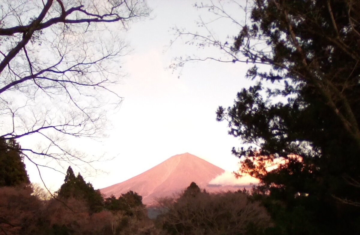 夕日に染まり出した富士山。白糸の滝上方より撮影。  
#富士山#夕日