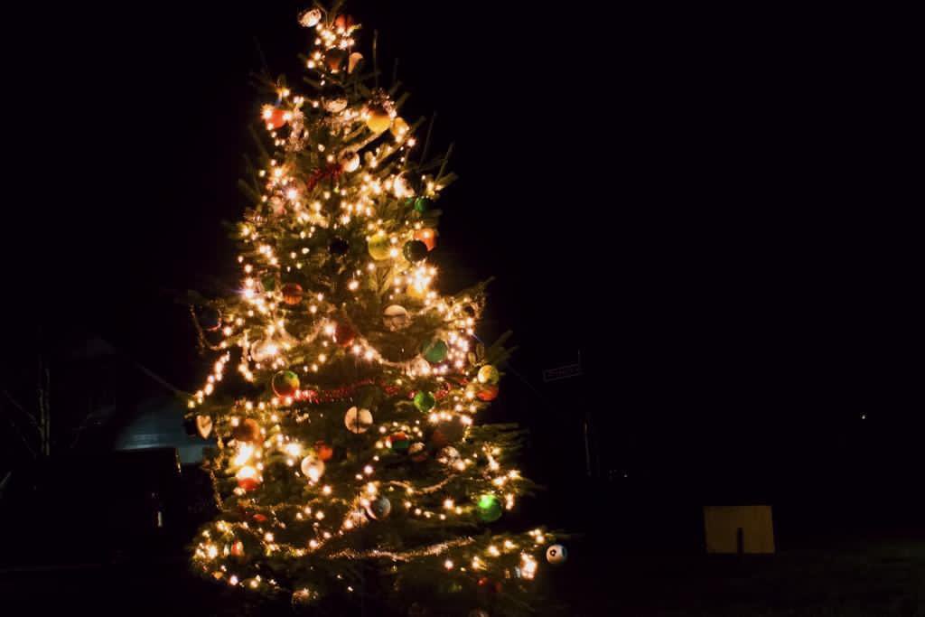 CDAHW's tweet photo. Wat een mooi initiatief van Buurtvereniging de Eendracht in Nieuwendijk: twee grote kerstbomen, prachtig versierd door de dorpskinderen en mét lampjes. #TeamCDAHW is dankbaar om deel uit te mogen maken van zulke liefdevolle saamhorigheid in de dorpen ❤️💚🎄🌟
#HoekscheWaard https://t.co/CktTtujSv2
