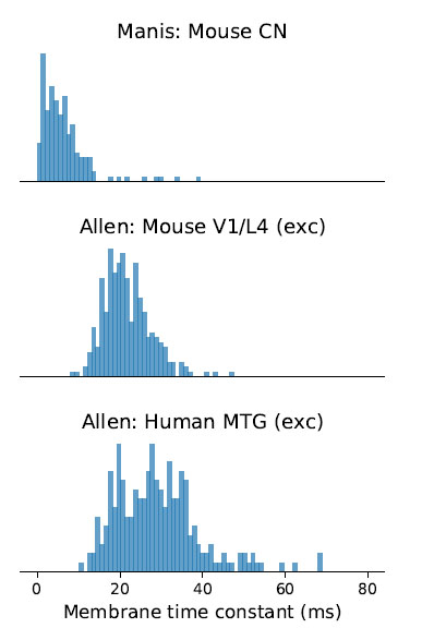 One of the striking things about the brain is how much diversity there is at so many levels, e.g. the distribution of membrane time constants. Check these out from  @AllenInstitute and  @AuditoryNeuro - wide range of values for single cell types, bit like a log normal dist. (2/16)