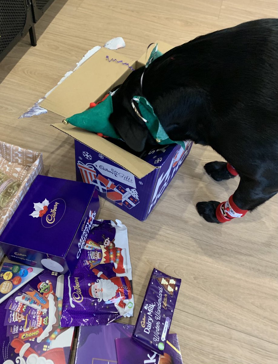 Rhiaanneeee's tweet photo. Thank you so much @MarshallGroup, Bruno the elf approves! 🎅🏼 #marshallchristmas #vwscunthorpe https://t.co/V1UzrqIwZa
