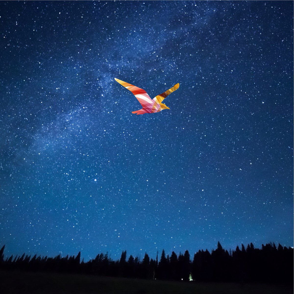 Kışın en uzun gecesini yaşamaya hazır mısın? 
2020 senesini uğurlamak için geri sayımımız başladı. 21 Aralık, yeni yıl için dileklerimizi dilediğimiz, umut ve mutluluk dolu bir gece olsun. Hava karanlık olduğunda bile içimiz hep renk dolsun!✨