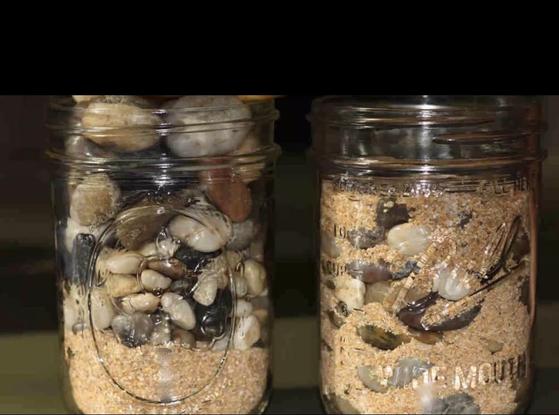 Pour notre 4eme session, Nous avons eu le plaisir de tenir un atelier virtuel sur le Time Management avec la formidable  <a href="/NdyeAbsaGningue/">Ndèye Absa GNINGUE</a> 

#AWEnergized #AWEinSenegal #Senegal #AWESenegal #HeForShe #kebetu #entrepreneur #womenempowerment <a href="/usembassydakar/">U.S. Embassy Senegal</a>