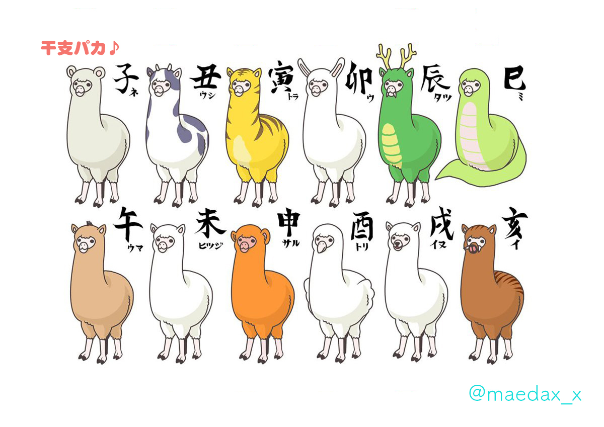 Maedax 背景美塾 塾長 原宿 年末なので年賀状のフリー素材を置いておきます アルパカだから来年以降もバッチリ使えます