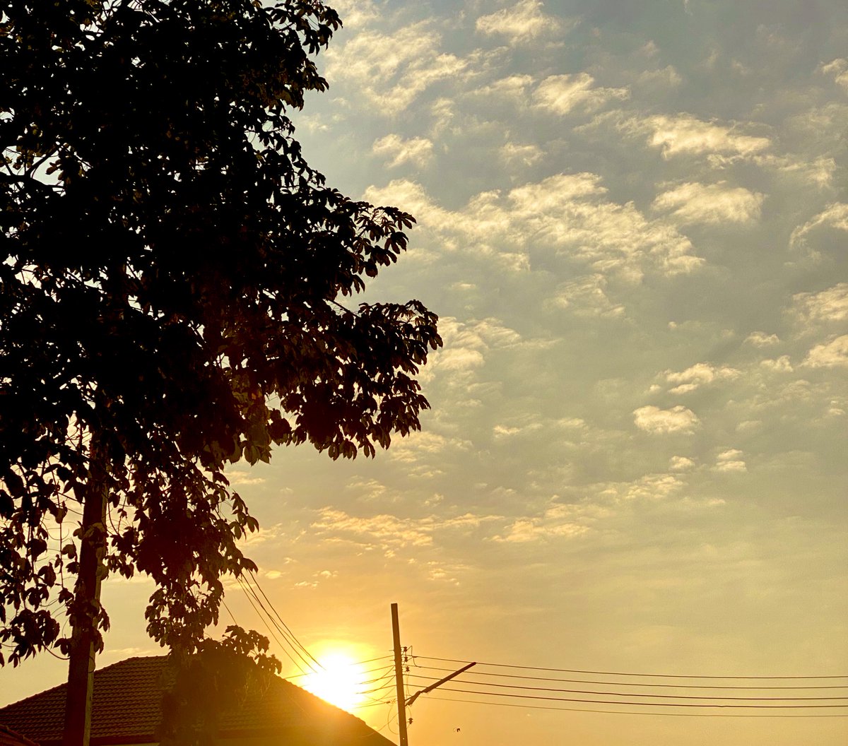 ludear_'s tweet image. จะมีอะไรน่ารักไปกว่าท้องฟ้าหน้าหนาวอีก