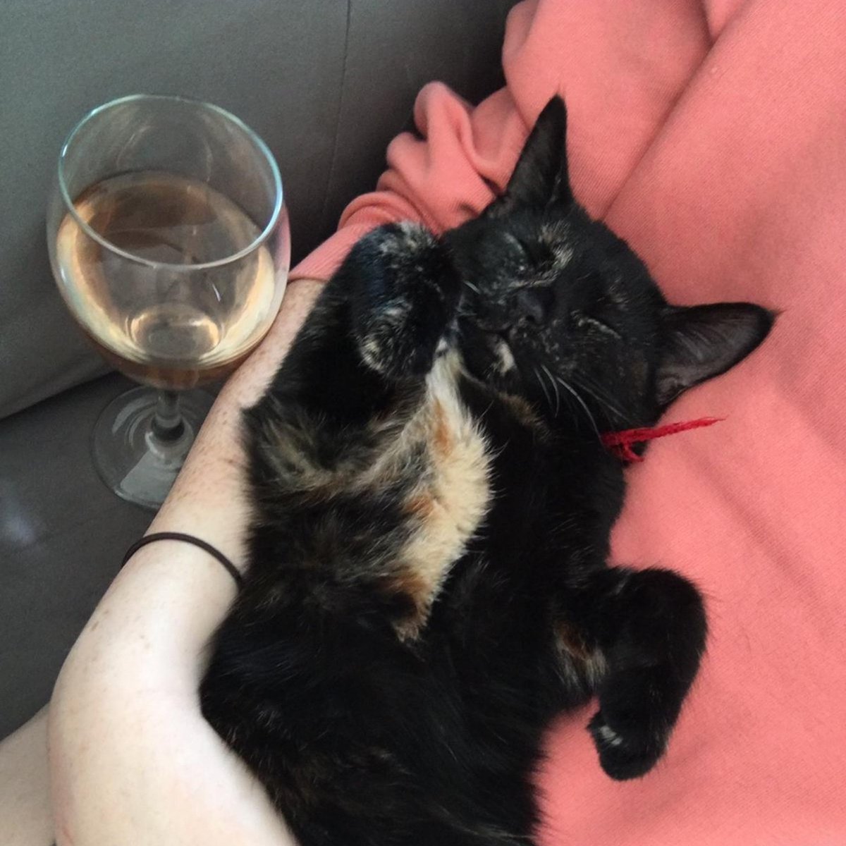 Now off for a Christmas break