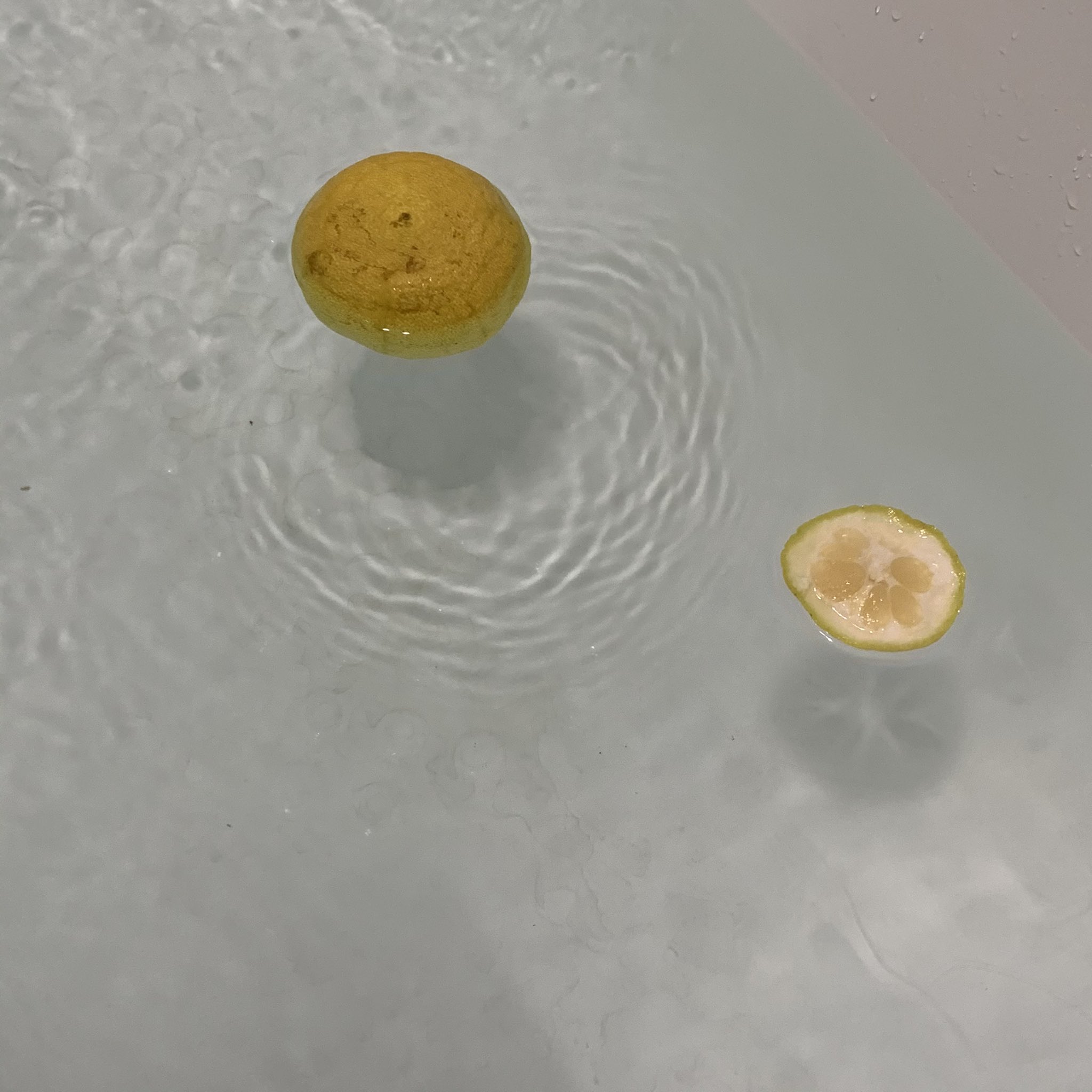 伊哎伊哎7 來泡柚子湯 冬至 柚子風呂 とうじhttps T Co Bpjkuuuxph Twitter