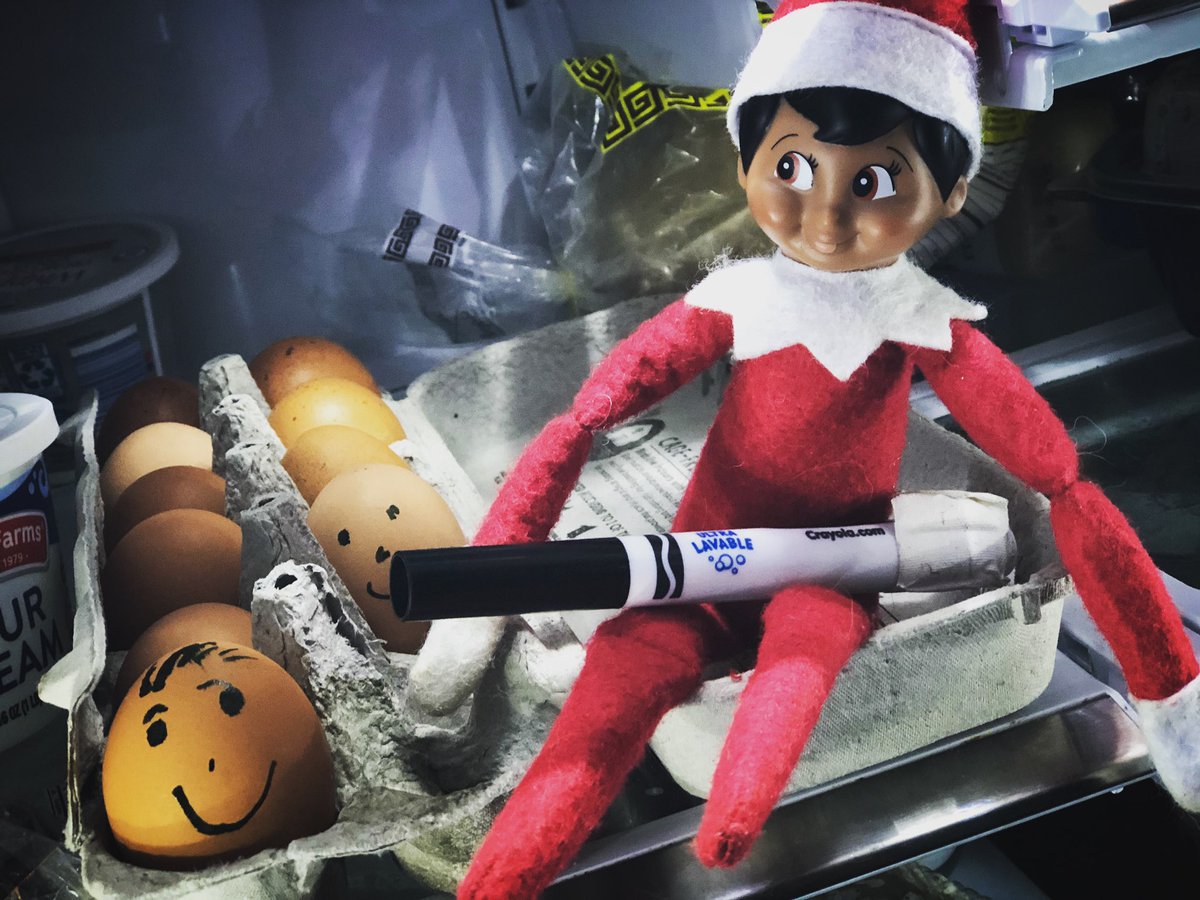SymaChowdhry's tweet photo. Caught Marco doing something egg-cellent 🥚 #elfontheshelf #marcoelf https://t.co/91evIDkPCS