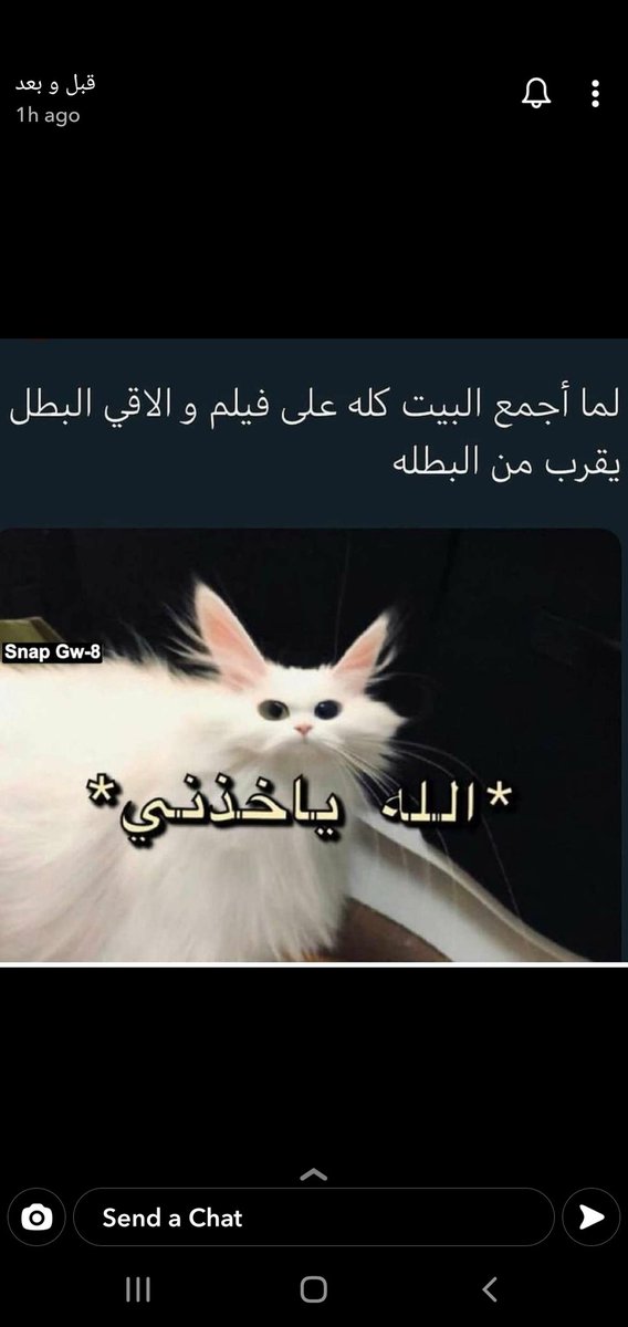 malak_100_'s tweet photo. عشان كدا بطلت اقترح افلام للهائلة نهائياً 😂 https://t.co/ujiH8TGpYX