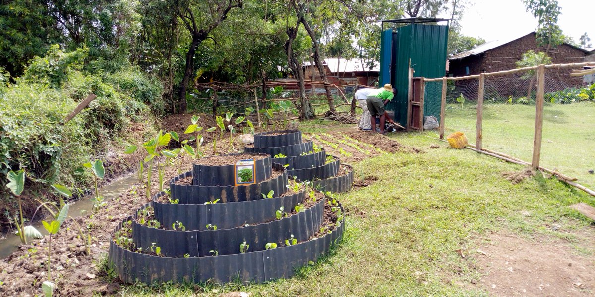 Mosesnoah254's tweet photo. Smart farming is intended to address the growing food shortages all over, the activity requires a small portion of land and the labour is really available and affordable.
#smartfarming #thinkdiff #climate #YouthEmpowermentKe #fightpoverty #wastemanagement #sustainabledevelopment https://t.co/gntty9BUkF
