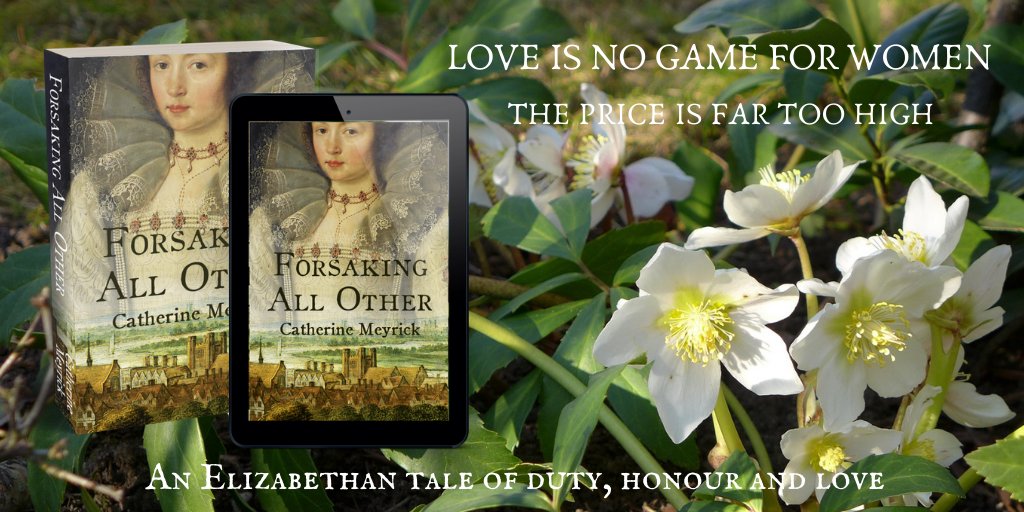 cameyrick1's tweet image. ‘This is the best kind of literary time-travel, and it left me with such a book hangover when I was done.’ 

#HistoricalFiction #Elizabethan #LoveStory
books2read.com/ForsakingAllOt…