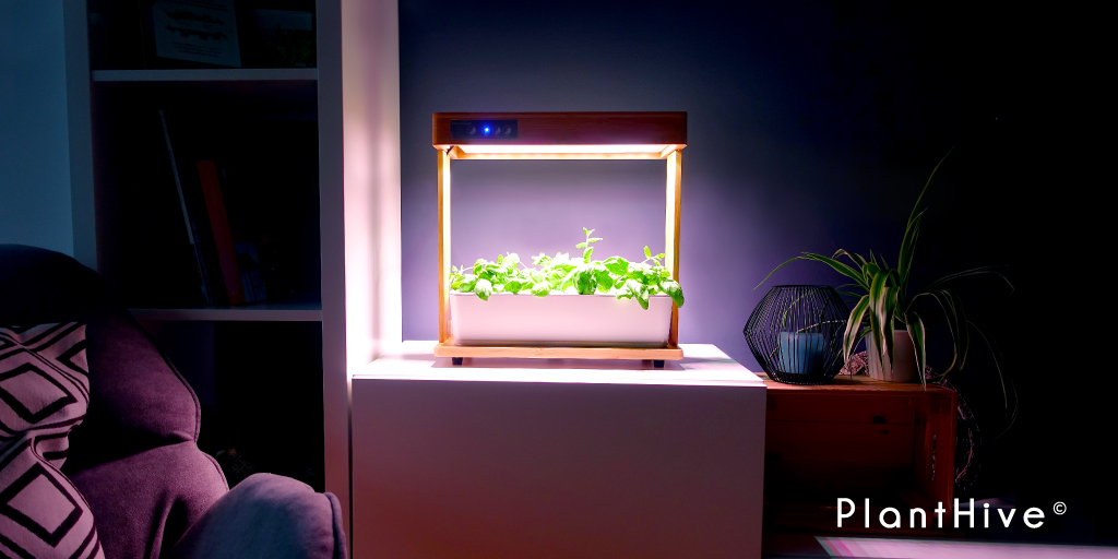 PlantHive's tweet photo. Still looking for a #Christmas gift for #plant hobbyists, healthy cuisine enthusiasts or herb/chilli lovers?🌿The Eco Grower is your solution! There are still a few available in our store, the shipping is perfectly alligned with the new year resolutions!😊 https://t.co/3sQyAymE7A https://t.co/D892pnwFpn