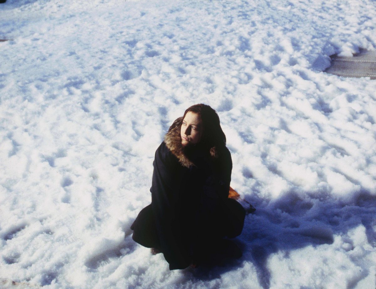 MrsWilliams1704's tweet photo. Just been defrosting my freezers and let me tell you, now I know how Mulder and Scully felt on the ice in Antarctica. #yesimbeingdramatic #noidontcare #TheXFiles https://t.co/shMGLDD0kq