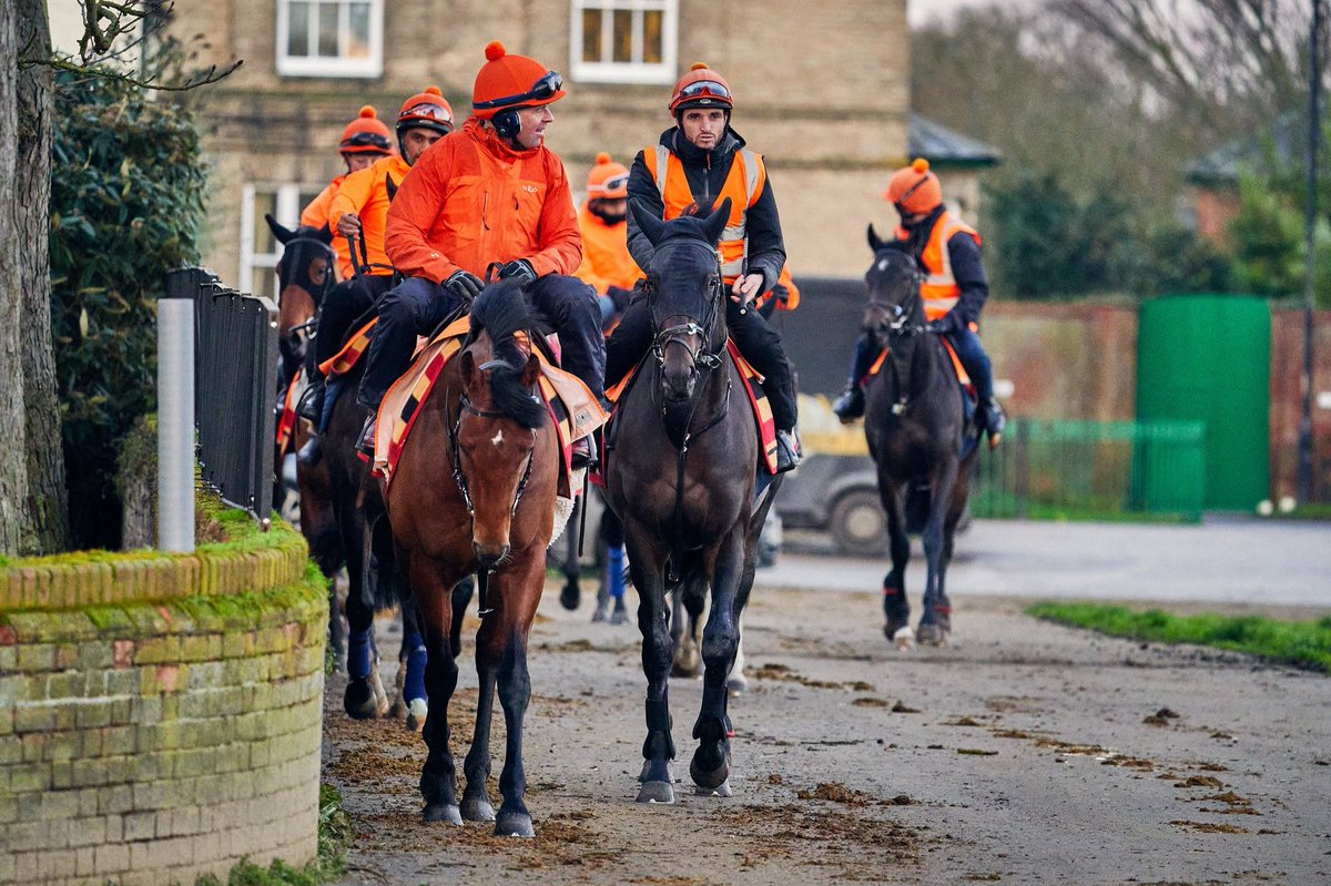 amymaygreenuk's tweet photo. Love these photos of Niall and Boosy, thank you 🍊 @horses_training #TeamHaggas https://t.co/k66vzuoerB