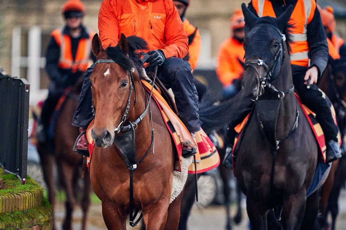 amymaygreenuk's tweet photo. Love these photos of Niall and Boosy, thank you 🍊 @horses_training #TeamHaggas https://t.co/k66vzuoerB
