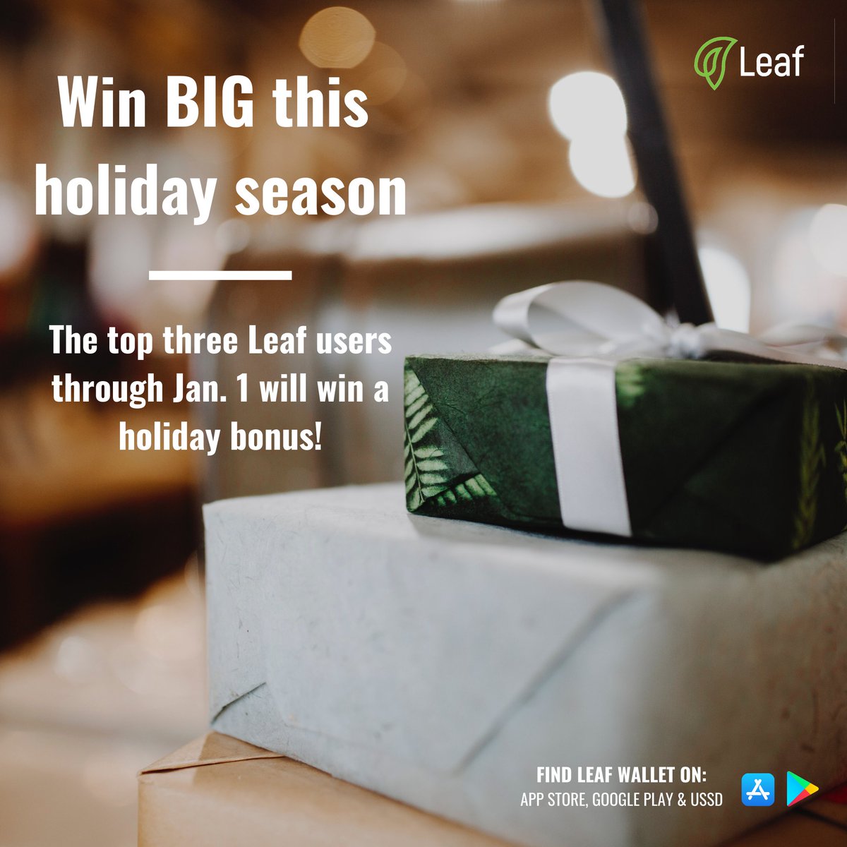 BOSSMoneyAfrica's tweet photo. The holiday season is here and we want to appreciate the top Leaf users! Head on to your Leaf Wallet and send/receive/store money or exchange currencies. #CelebrateWithLeaf #LeafForYou
PC: Photo by Simona Sergi on Unsplash https://t.co/hA5KSztzkS