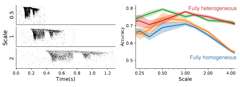 And it's more robust. If you tune hyperparameters for sounds at a single speed, and then change the playback speed of stimuli, the heterogeneous networks can still learn the task but homogeneous ones start to fall down. (8/16)