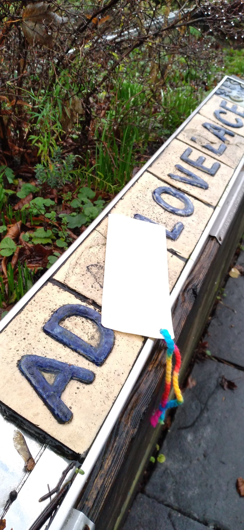 Day52 :: Gentee  Well looks like either the local kids have had them or the church have finally had (Image 1)