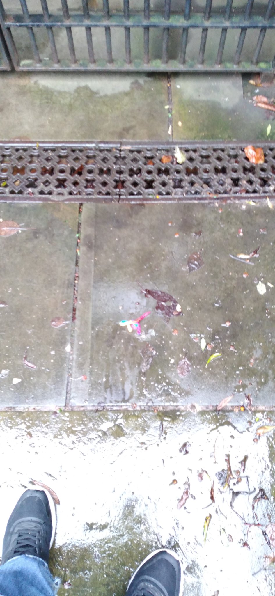 Day52 :: Gentee  Well looks like either the local kids have had them or the church have finally had (Image 3)