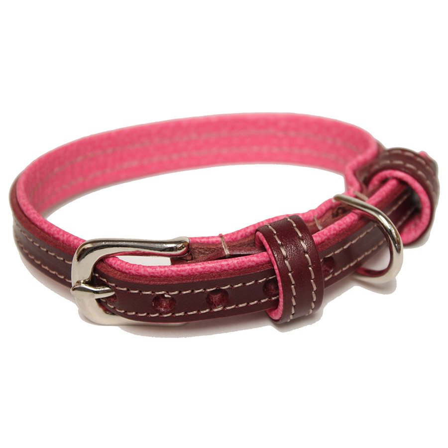 KpsDistribution's tweet photo. Don't forget about your furry friends this Christmas!! For all the dog lovers out there get onto the KPS website to pick up a new collar and something else for your favorite person!!ππ #KPSdist #fashion #Christmas2020 #Sales #HolidaySeason https://t.co/SxWMXvrPPr