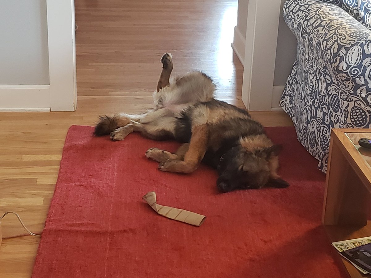 VirtualChrista's tweet image. Happy vacation!