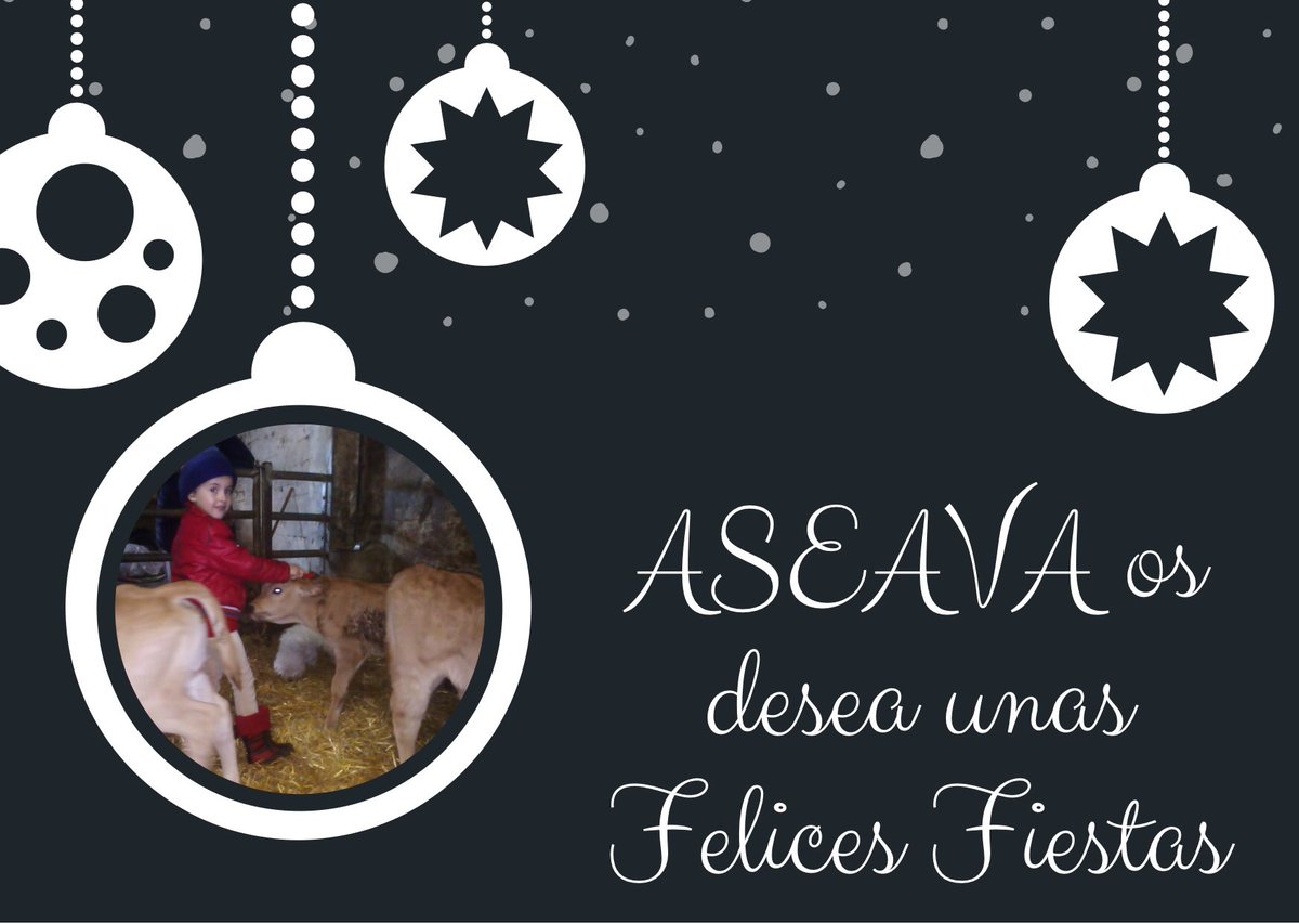 ASEAVA (@aseavaoficial) on Twitter photo 