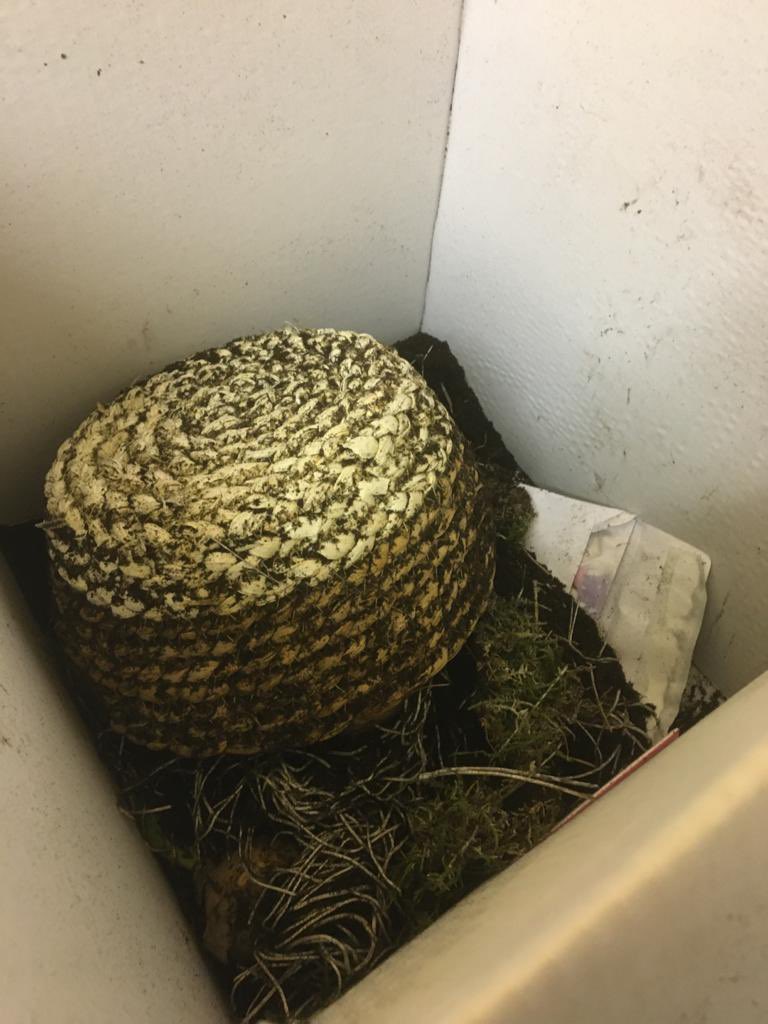 DM20120's tweet photo. @Kathapilla @MoonpigUK This is the box of mud that was delivered to my elderly mums we live abroad so she was so looking forward to receiving a gift from us ... full refund please @MoonpigUK https://t.co/MQc173Z96N