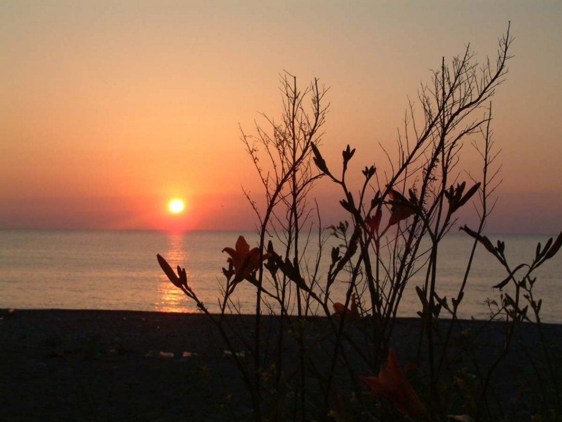 Akşam oldu, gün bitti,
Kaybetmedim ümidimi...🍀

İyi akşamlar dostlar, Sevgimle...
