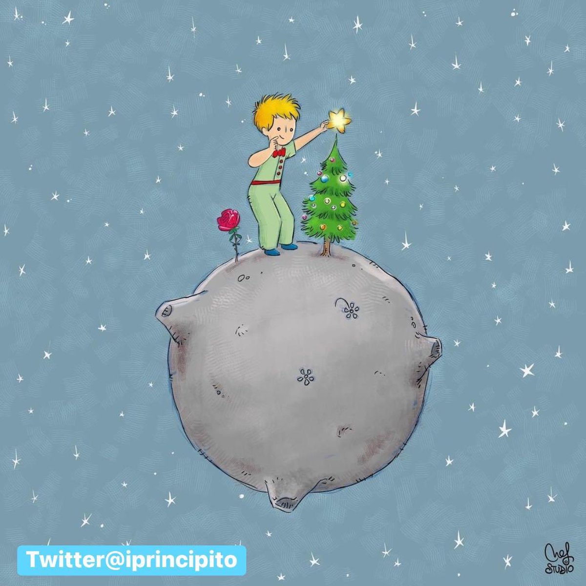 El Principito ✨ tweet media