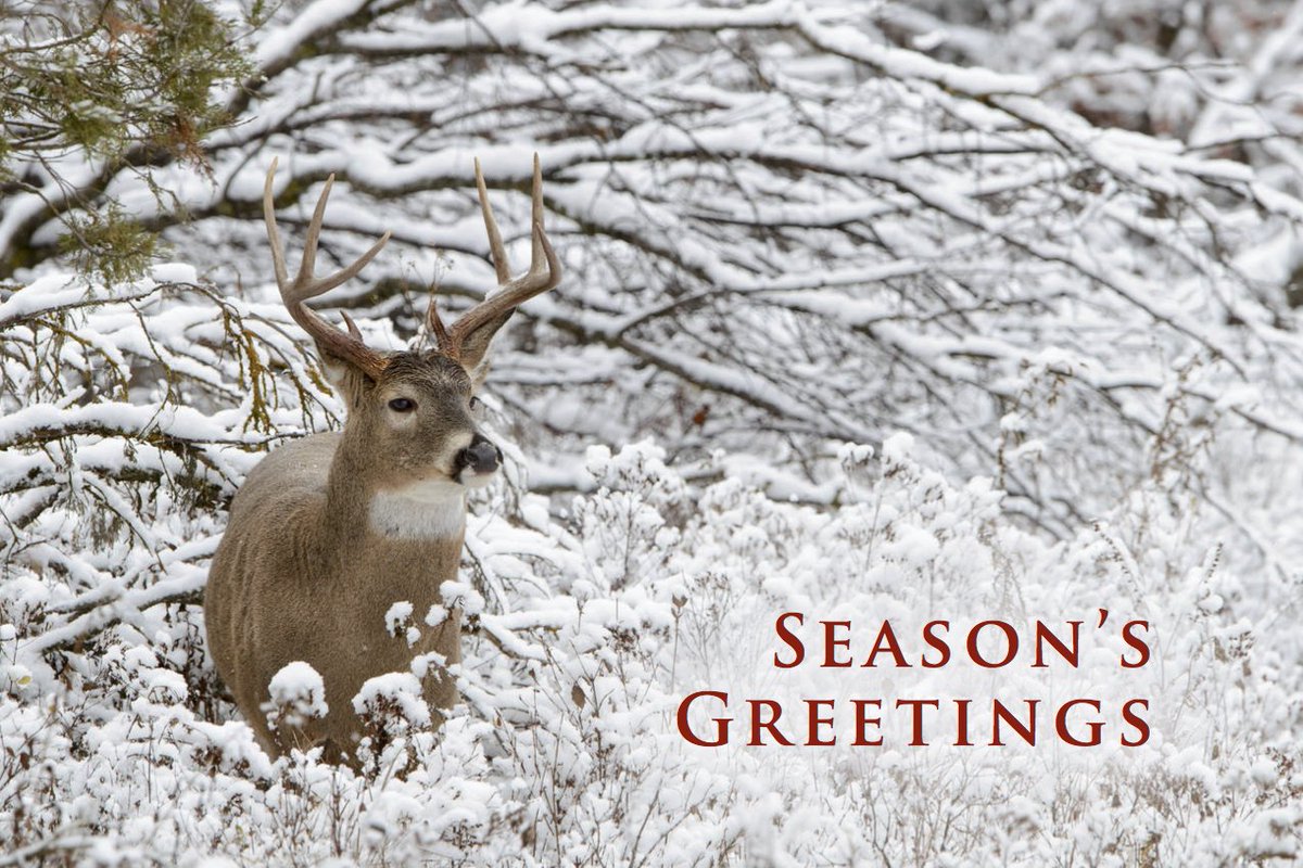 Happy Holidays from your friends at the Tennessee Wildlife Resources Foundation