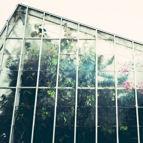 MotherEarthNews's tweet image. Take on this relatively simple DIY cold frame project over the weekend to save money, extend your growing season and become a more self-sufficient gardener. #diy #coldframe #garden #greenhouse #gardeningtips #gardener #gardening #MotherEarthNews buff.ly/2WsX1Um