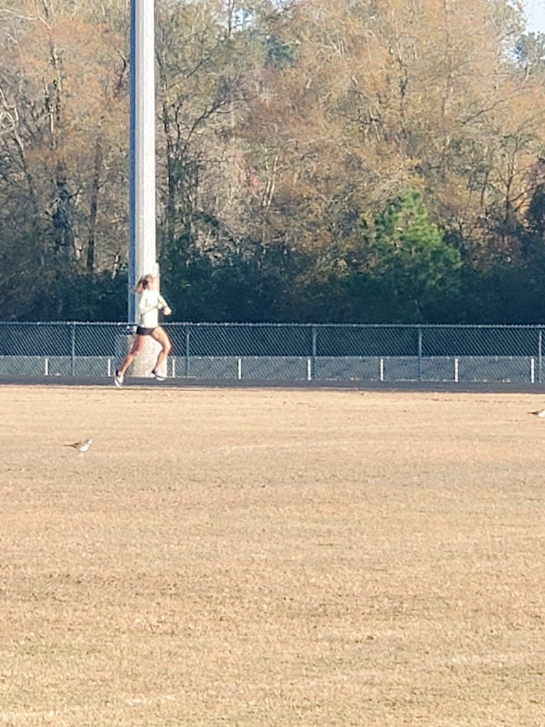 WLPFProject's tweet image. Solid work @emmaellis_13! 25' LT @ 5:05 1600 training pace (1st 2mi Tempo 6:04-6:09=12:19, 3rd mi started drifting, 4th mi into 6:25-6:30 SS to finish). 5' Rest, 4x200 @ 1600 w/ 200j (36/37/38/37), always finish FAST! #WithoutLimits #StateGoals