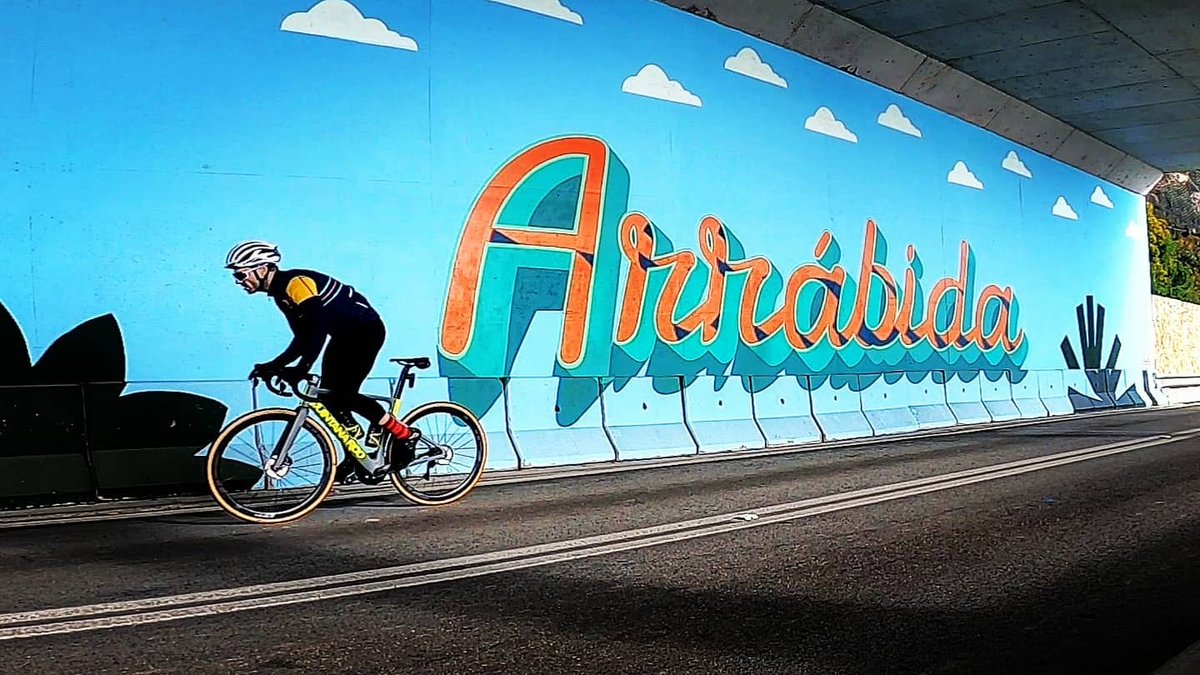 quintanarootri's tweet photo. We ship worldwide so that you can ride worldwide π
.
.
πΈ @pardalouco
.
.
#srfive #srseries #qr #quintanarootri #triathlon #aeroroadbike #roadbike #triathlontraining #tritraining #triharder https://t.co/DItdIKcPIP