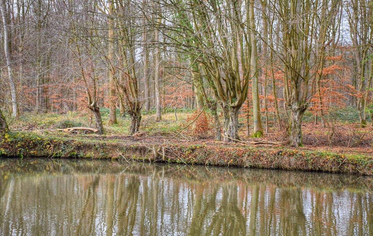 MelvinD_Photos's tweet photo. Au bord de la Sambre
#Avesnois #Thierache #tourismeAvesnois #Nord #NPdC #HDF #HautsdeFrance #hautetfort #imageofday #photoofday #photodujour #photo #photographie #photography #nikon #nikonphotos #nikonpassion #nature #naturephotography #magnifiqueFrance #francemylove #randonnée https://t.co/B0undF7zxh