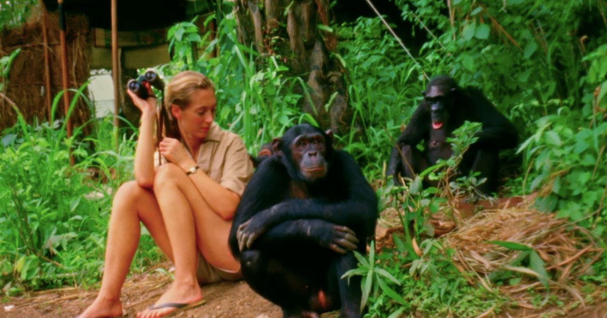 EtimosDirectos's tweet image. Como les anunciamos, hoy vamos a dedicar un hilo a las MUJERES CIENTÍFICAS.👩‍🔬

➡️Vamos a enumerar a grandes MUJERES que marcaron la ciencia pero cuyos nombres fueron silenciados. 😭😬

➡️Dentro hilo 💓
