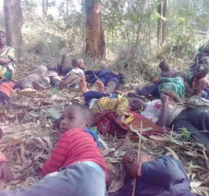 ItalyPac's tweet photo. @scinga2017 @UNGeneva @Europarl_EN @fernanddev #UN is appreciating "good moves" but never taking concrete steps to resolve issues. Acknowledging H.rights abuses without actions is like a blank cheque. "We're greatly alarmed" does not revive dead children, men &amp; women! #Justice4Nera10 #AmbaExit #IndependenceOrResistance4Ever https://t.co/8IzEWxTw96