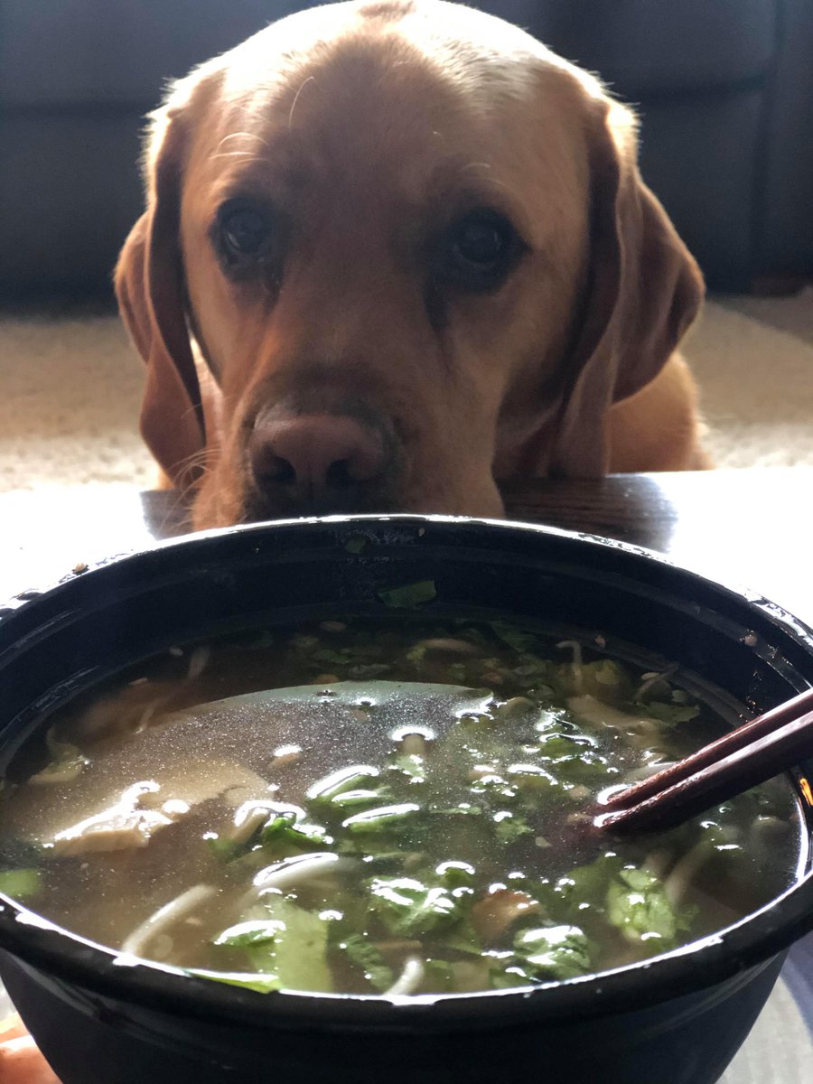 Mmmm pho on a chilly winter’s day. 
 
Any left for me?