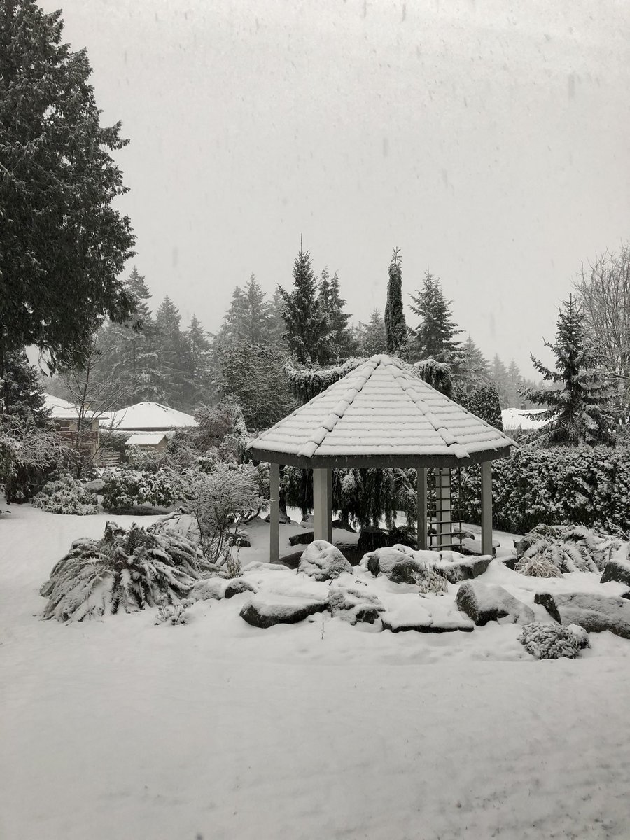 UrbanElf's tweet image. It’s a midwinter miracle!! ❄️☃️ Happy Yule everyone 🎄🕯